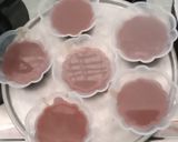 Foto langkah ke 3 dari resep Pudding Coklat Kelapa.
