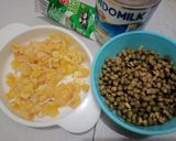 Foto langkah ke 1 dari resep Es puter/ es ting ting.