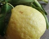 Une image de l'étape 8 de 🥧Cake citron 🍋 pavots 🍂.