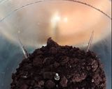 Foto del paso 4 de la receta: Torta casera crema oreo