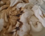 Foto del paso 4 de la receta: Tiramisú sin licor y sin huevo