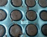 Foto langkah ke 5 dari resep Kue mangkok.