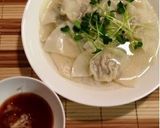 A picture of step 19 of Gyoza Dumplings with Alpine Leek.