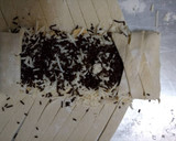 Foto langkah ke 8 dari resep Banana Choco Cheese Strudel.