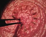 Jalapeo red sauce recipe step 3 photo