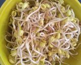 Foto del paso 5 de la receta: Brotecitos para wok