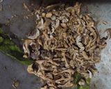Foto langkah ke 2 dari resep Sate Usus Ayam Bacem.