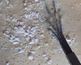 Foto del paso 3 de la receta: Coca de llanda