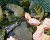 Foto langkah ke 1 dari resep Bening Katuk Jagung Manis.