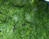 A picture of step 1 of Palak chicken.