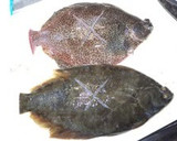 A picture of step 7 of Simmered Flounder: Preparation.