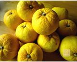 A picture of step 16 of Yuzu Curd Made of Yuzu Tea Base (Use as a Spread).