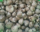 Foto langkah ke 1 dari resep Kerang dara sederhana.
