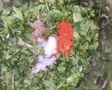 A picture of step 2 of Chutney.