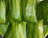 Foto langkah ke 4 dari resep Nagasari.