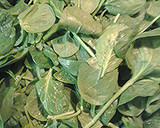 A picture of step 1 of Poached eggs on a nest of spinach.