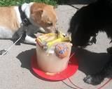 Doggy Ice Party Cake recipe step 5 photo