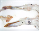 A picture of step 2 of Whole Stewed Squid With Instructions for Preparation.