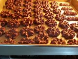 Semprit Coklat