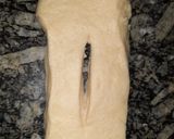 Foto del paso 5 de la receta: Facturas Económicas