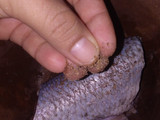 Lenguado a la molinera