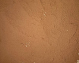 Foto del paso 8 de la receta: Tiramisú