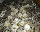 Foto del paso 19 de la receta: Capeletis de Verdura