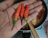Foto langkah ke 4 dari resep Ayam Kuah Kemangi.