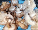 Foto del paso 3 de la receta: Guiso otoñal (patatas+setas)🍂🍁🍄🍄