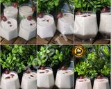 A picture of step 1 of Coconut Grapes Cooler.