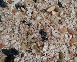 A picture of step 3 of Dry Fruits and Seeds Granola Bar.