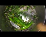 तिरंगा ढोकला (tiranga dhokla recipe in Hindi) रेसिपी चरण 11 फोटो