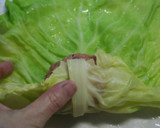 A picture of step 6 of Cabbage Rolls.