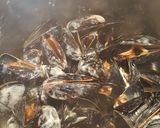 Une image de l'étape 2 de Moule au roquefort.