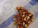 Peyek kacang hijau
