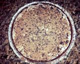 A picture of step 3 of Candybar pie.