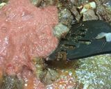 A picture of step 5 of Mutton pulao.