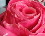 Gambar langkah 6 resipi Rose laici mille crepe cake.