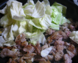A picture of step 4 of Pork and Cabbage with Miso Sauce (New Twice-Cooked Pork).