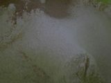 بان سويس