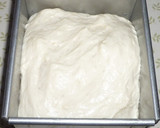 A picture of step 5 of Basic Square Bread Loaf.