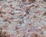 Foto del paso 2 de la receta: Hamburguesas Polacas de cerdo o Meilone