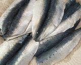 Une image de l'étape 2 de Sardines à la tomate.