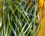 Jus Whitegrass langkah memasak 1 foto