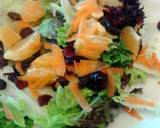 Nina's Sweet N Tangy Looseleaf Salad recipe step 3 photo