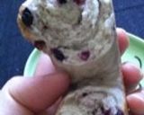 A picture of step 11 of Crunchy Yummy Blueberry Bagels.