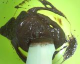 A picture of step 3 of Just 3 Ingredients! Easy Fondant au Chocolat.