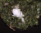Foto langkah ke 6 dari resep Sambal Ijo Daging (posting kedua).