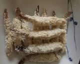 Foto langkah ke 3 dari resep Ebi Furai Kriuk.