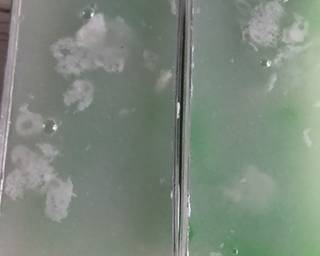 Cendol Dessert Box (tanpa whipping cream) - Step 9